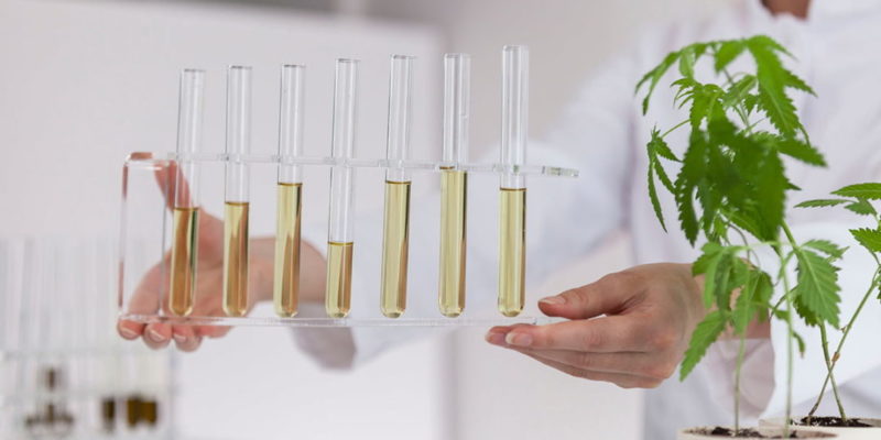 How Are CBD Products Tested?