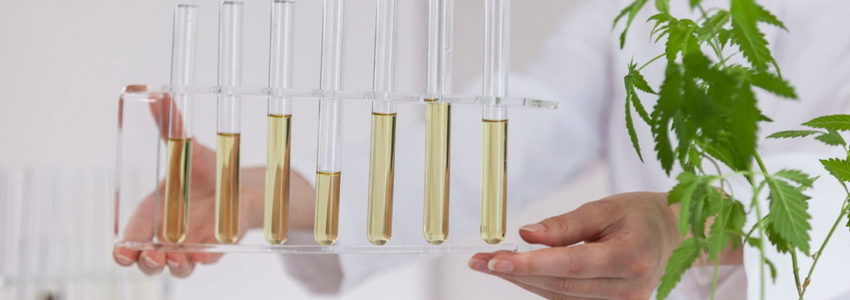 How Are CBD Products Tested?